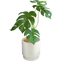 Amazon｜光触媒 人工観葉植物 光の楽園 フレッシュポトス1.5m 362B220