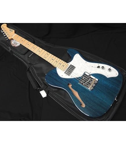 Amazon | FGN FUJIGEN NTE110MMHT TBL フジゲン Neo Classic SERIES
