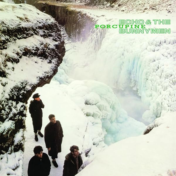 Amazon.co.jp: ポーキュパイン(やまあらし): ミュージック