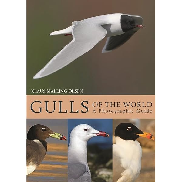 Amazon | Gulls of Europe, Asia and North America | Olsen, Klaus