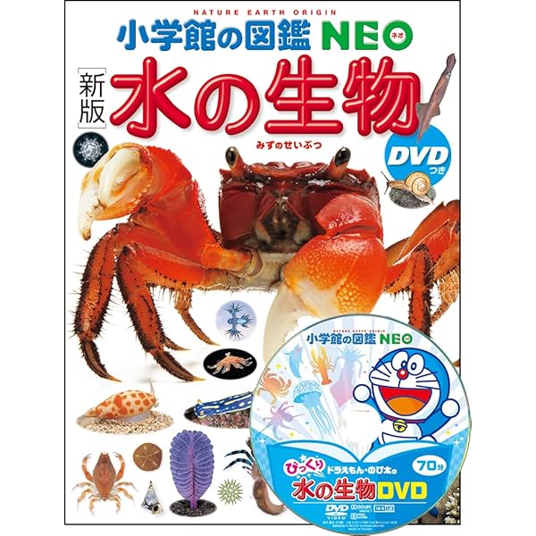 新版］飼育と観察 DVDつき (小学館の図鑑NEO 15) | 筒井学、萩原