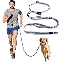 犬 リード 伸縮 犬用リード 人気 中型 多機能 トレーニングリード 散歩 Amazon | JC HOUSE 犬 リード 中型犬 大型犬用 ランニングリード