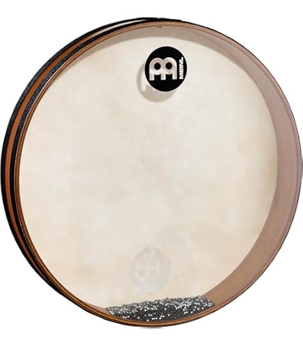 Amazon.co.jp: REMO Pandeiros Choro LREMPD821081113 パンデイロ