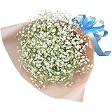 【誕生日フラワーギフト】カスミソウの花束 ya00-512402 花キューピット 花 誕生日 お祝い 記念日 プレゼント 彼氏彼女 夫婦 祖父母 友達 友人