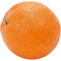 shrimp-chan様サイズ1 一枚 ZONK SINPEN 77 | Megabass-メガバス