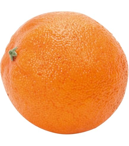 Amazon｜東京堂 造花 MAGIQ フレッシュレモン イエロー φ5.5