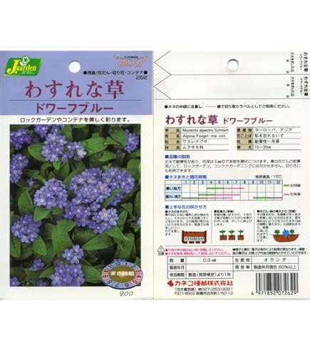 わすれな草 Amazon｜ハッピーガーデン 花苗 わすれな草 ブルー 1鉢 3～3.5号 【お
