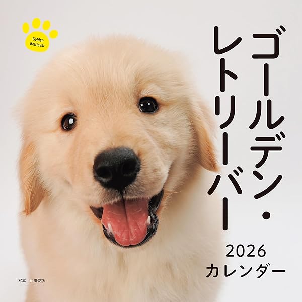 ヤマモトヨーコ　トイレシリーズ　ゴールデンレトリバー　壁掛け ヤマモトヨーコトイレシリーズゴールデンレトリバー壁掛け