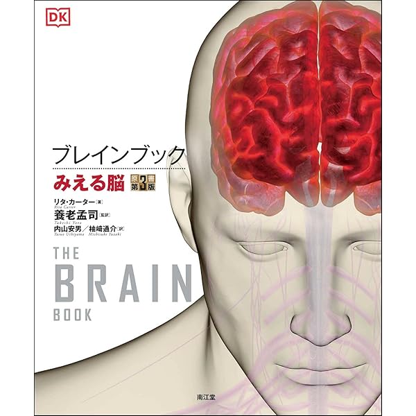 ヒトの脳 ヒトの脳」 医学ポスター ポスターB2サイズ 人体解剖学図