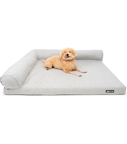 Amazon | 【大型犬と一緒にくつろげる】洗える ふわもこ ドッグ