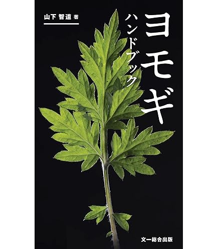 Amazon.co.jp: クソニンジン（オウカコウ）の種（20） : DIY・工具