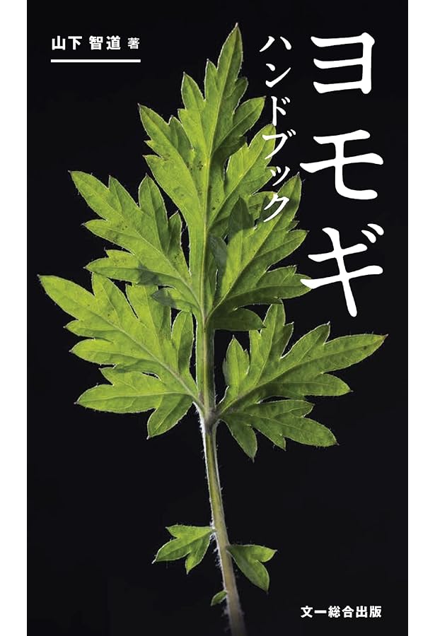 かんたん! ちょっとスペシャル! ハーブ研究家・山下智道のソロキャンプ