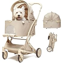 71uS-IXqCLL._AC_UL210_SR210,