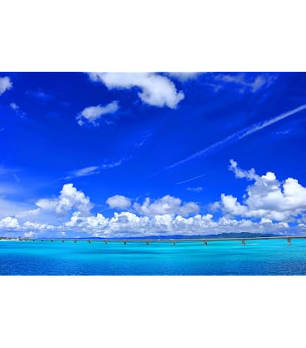 Amazon.co.jp: 海物語 ウリン スーパー海物語 IN 地中海2 タペストリー 