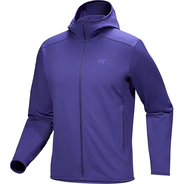 Amazon.co.jp: [アークテリクス] ARCTERYX カイヤナイトプルオーバー