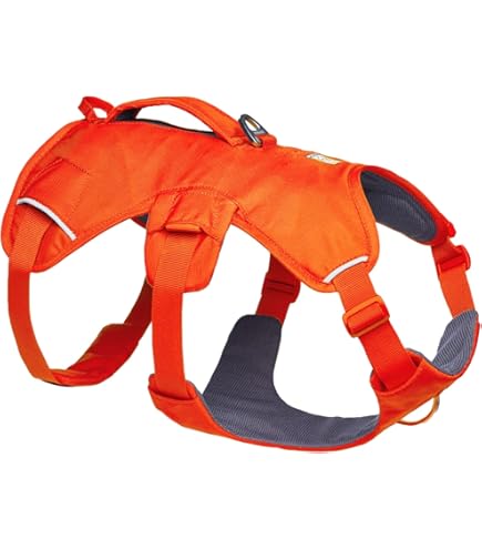 Amazon | RUFFWEAR(ラフウェア) スワンプクーラードッグハーネス