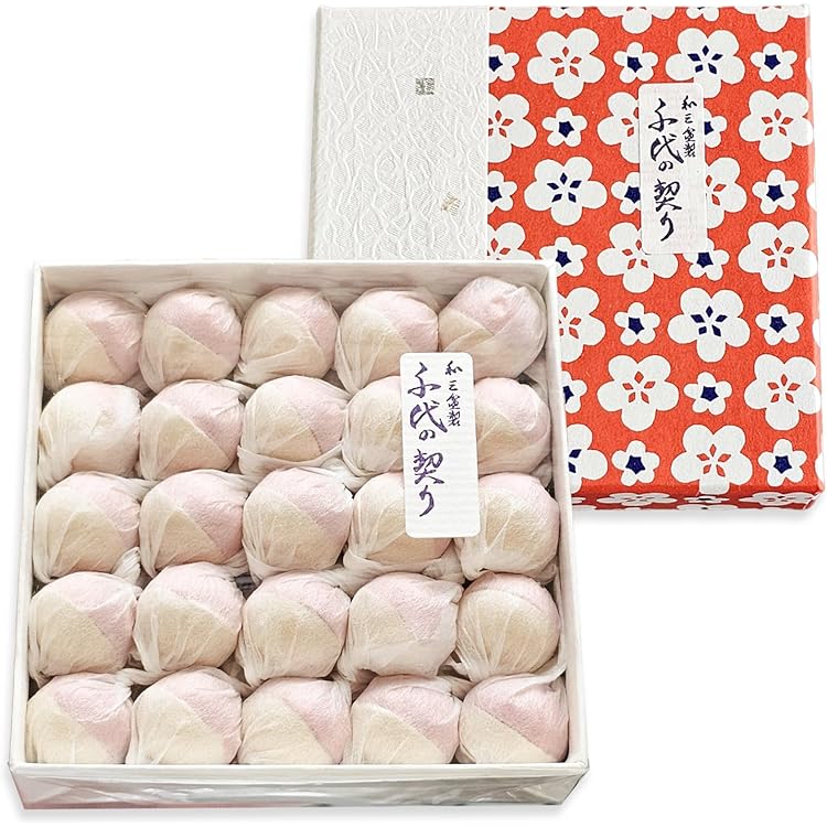 Amazon | 虎屋 とらや 和菓子 ギフト和三盆糖製 推古 24個入
