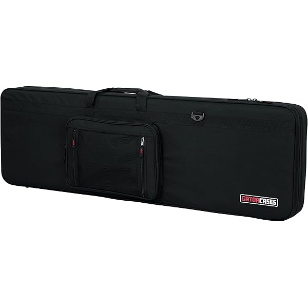 Amazon.co.jp: SKB エレキベース用セミハードケース SKB-SC44