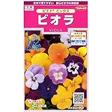 種・ビオラ　ピエナミックス・