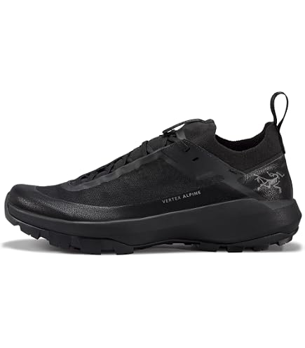 Amazon.co.jp: ARC'TERYX(アークテリクス) コンシール メンズ UK10.0