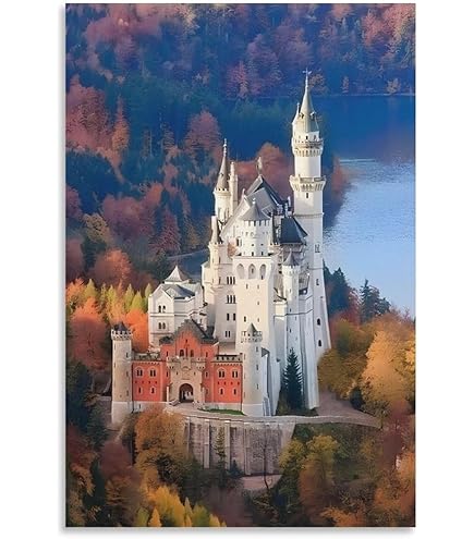 Amazon.co.jp: ノイシュヴァンシュタイン城を見ます 風景の写真