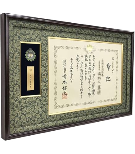 細長い額です Amazon.co.jp: 警察表彰額 GT24/ケース収納型(ケースサイズ/82×112ミリ