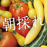 泉州八百屋 【 朝採れ新鮮 】安心 夏季冷蔵便 厳選 野菜 詰め合わせ セット 検品済み (60サイズぱんぱんセット)