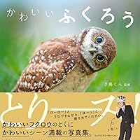 ふくろう |本 | 通販 | Amazon