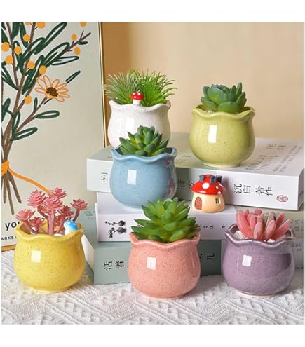 Amazon.co.jp: koundeneko 多肉植物鉢 6個セット 陶器製 2号鉢 小型