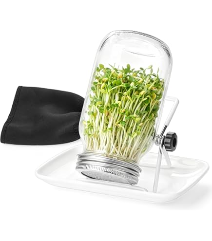 Amazon.co.jp: マイコン電気発芽器 発芽美人 HP-70 ライトグレー : DIY