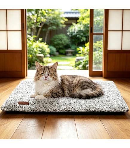 Amazon.co.jp: マルカン 遠赤外線ホッとヒーター ミニ : ペット用品