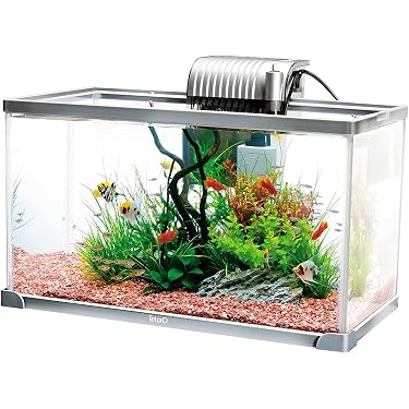 Amazon.co.jp 人気ギフトランキング: 魚飼育セット で、ギフトの設定を