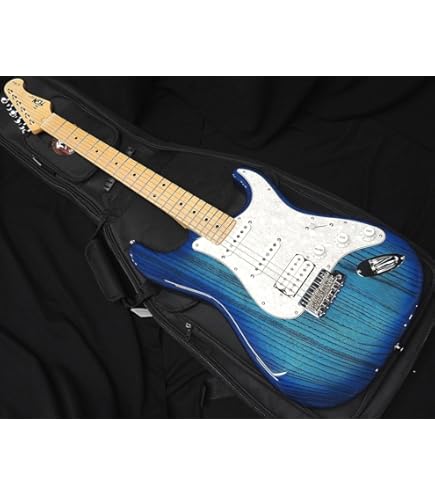 Fujigen NTE100MAHTL フジゲン thinline シンライン Amazon | FUJIGEN Neo Classic SERIES NTE100MAHT-WB/01 エレキギター