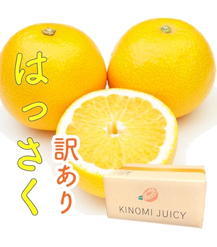 Amazon.co.jp: 文旦 土佐文旦 4L 3L混合 大玉限定 (16玉前後入り) ご
