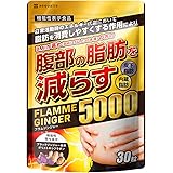 フラムジンジャー 機能性表示食品 脂肪を減らす ダイエットサポートサプリ 30粒 (1)
