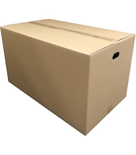 Amazon | アイリスオーヤマ ダンボール 160サイズ (68×56×36cm) 【10枚