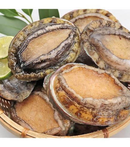 Amazon.co.jp: 生食用 冷凍 蝦夷鮑 1kg ( 個41-50g ) あわび エゾ 鮑