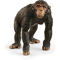 71uyXn6o0RL._AC_UL210_SR210,