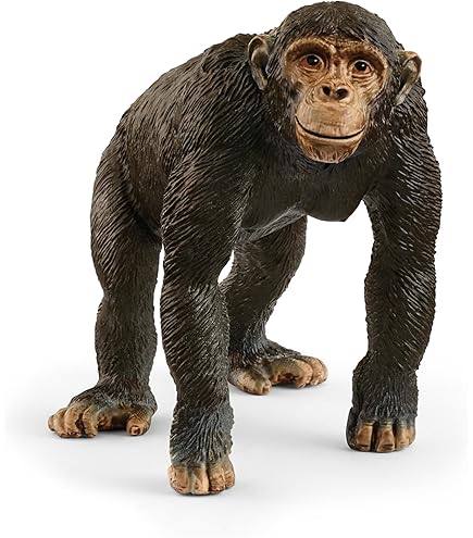 Amazon.co.jp: Papo(パポ) チンパンジーの親子 PVC PA50194 : Hobbies