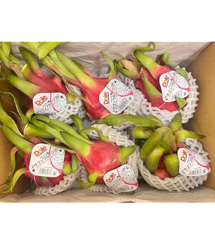 ドラゴンフルーツ 20玉Set /１箱　 紅心 火龍果 thanh long Amazon.co.jp: ドラゴンフルーツ 火龍果 赤肉種 【ケース販売】 約9KG