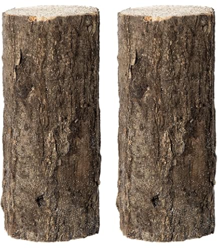 Amazon.co.jp: 【EXCEED CRAFT】LEVIN-G3500SP 3500cc オオヒラタケ