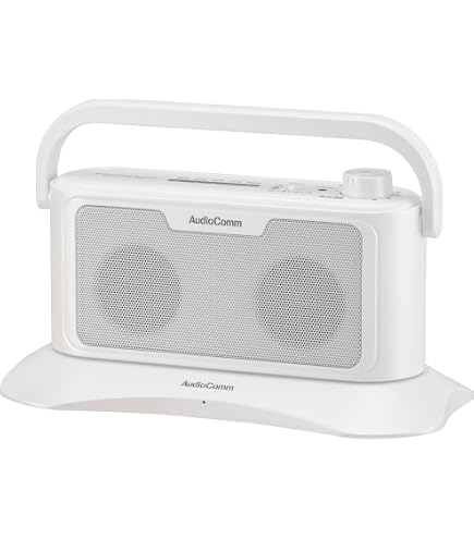 Amazon.co.jp: JVCケンウッド JVC シーリングスピーカー PS-S20W 白