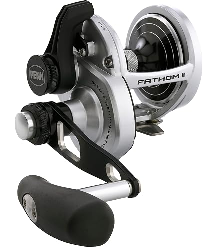 Amazon | PENN (ペン) FATHOM II 2speed FTHII10XNLD2 ファゾム2 2