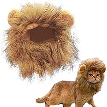 71v4NfRkv7L._AC_UL210_SR210,