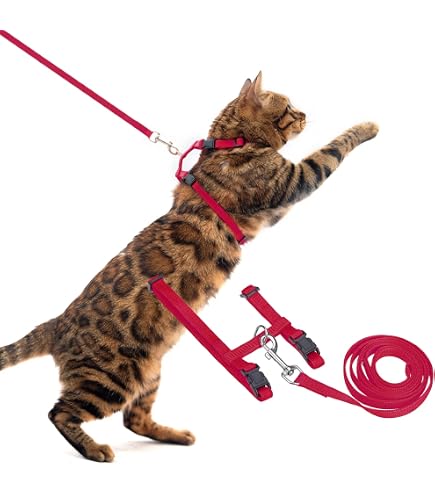 Amazon | Rogz KiddyCat Harness & Lead Sets H型 猫用 ハーネス