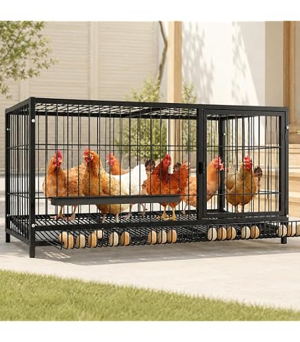 Amazon.co.jp: ニワトリ小屋 キット カバー付きで持ち運び可能 卵