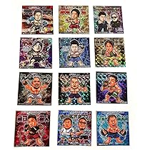 RIZIN シール RIZIN シール Sticker kit - For ZX-14R - SpinningStickers