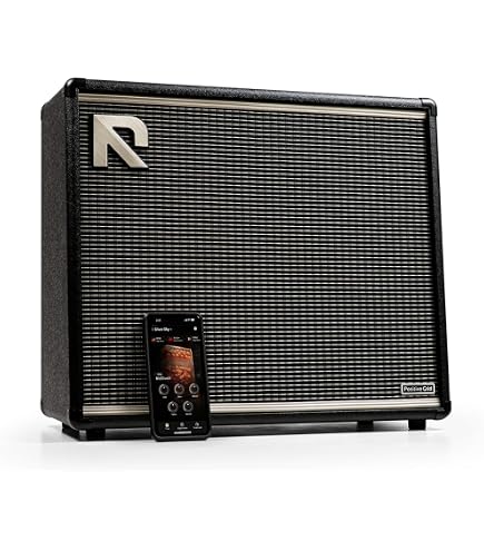 Roland CUBE-20XL 20-Watt 1x8-Inch Bass Combo Amp : Amazon.com.au