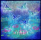 ����(��������B)