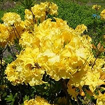 71v8609sNqL._AC_UL210_SR210,